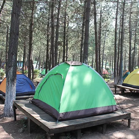 Sahil Kamp Istanbul Ağva