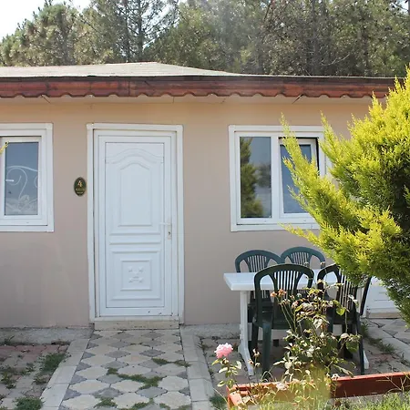 Sahil Kamp Istanbul Ağva